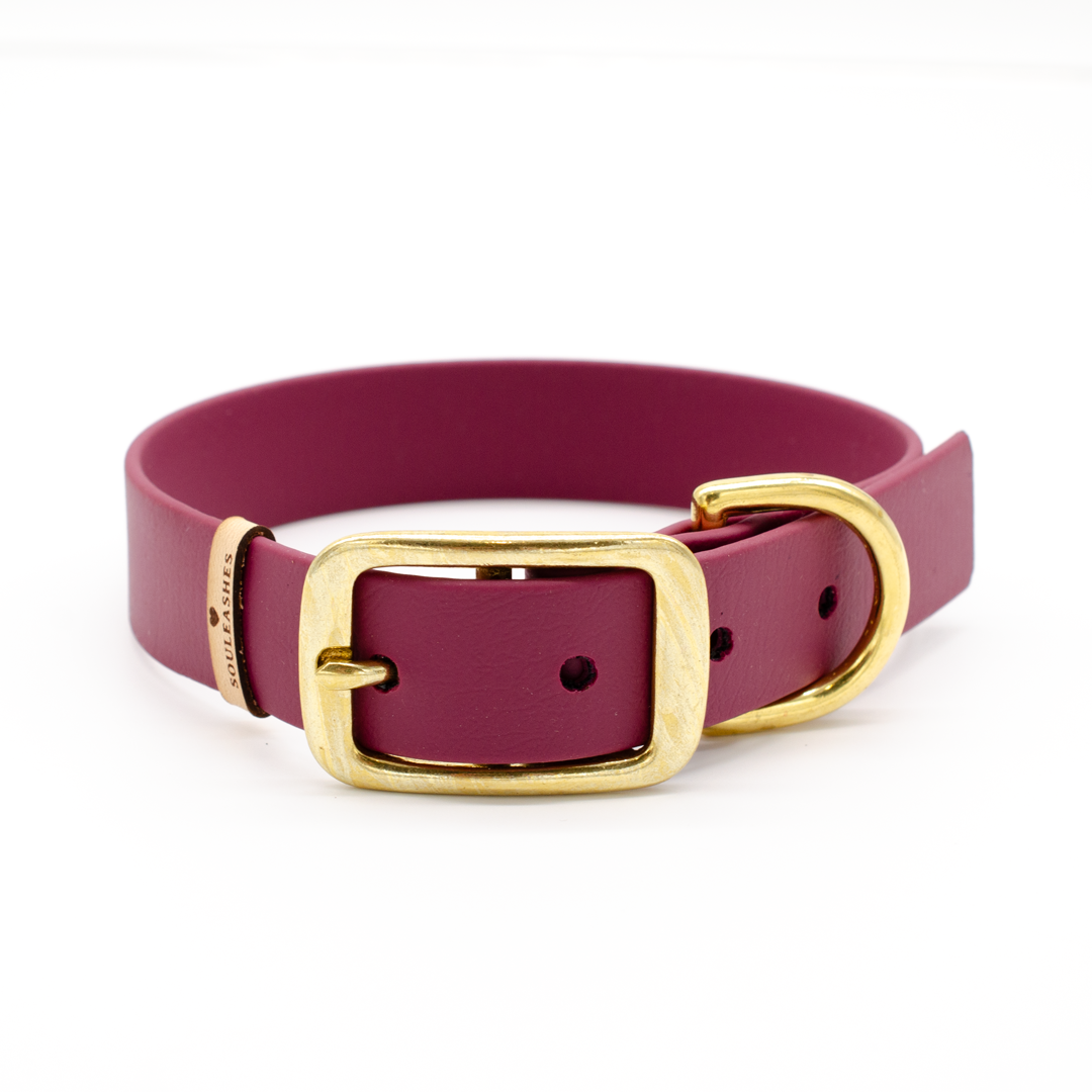 Biothane® Halsband bordeaux – Souleashes