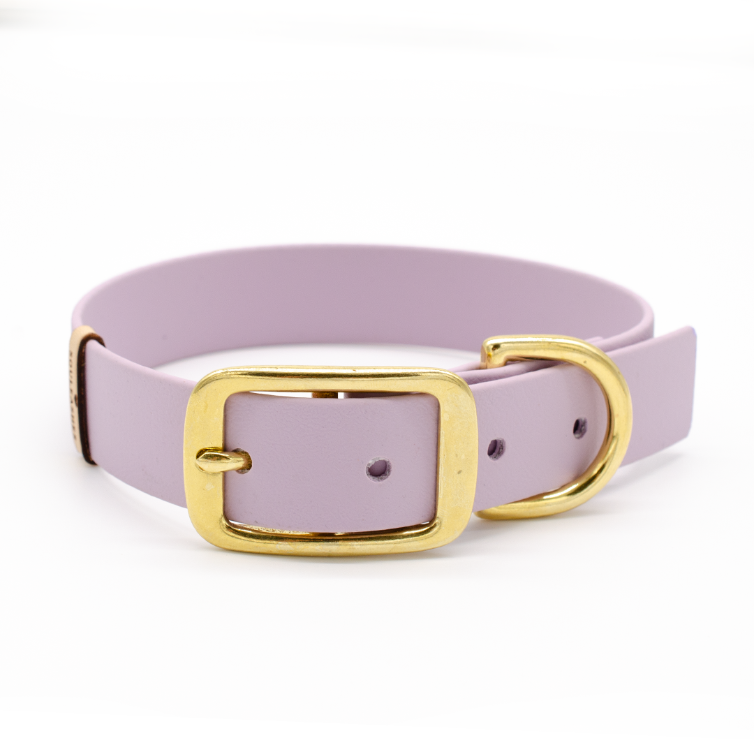 Biothane® Halsband flieder – Souleashes