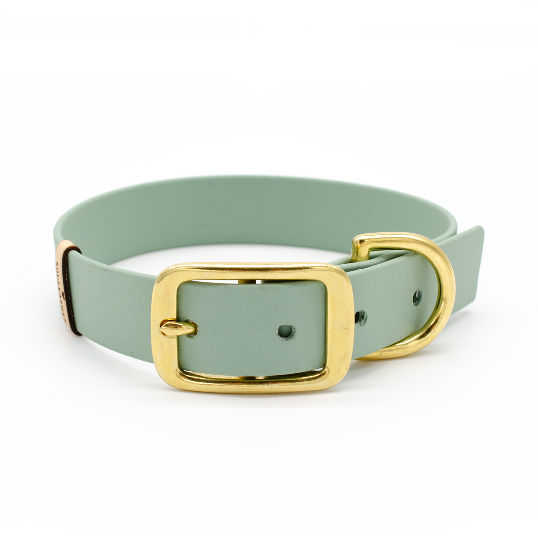 Biothane Halsband mint  Souleashes