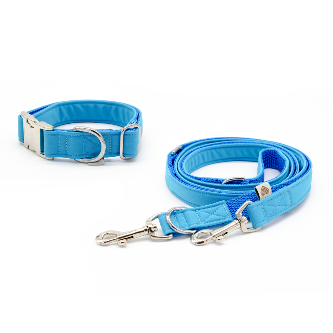 Softshellhalsband & Leine türkis – Souleashes