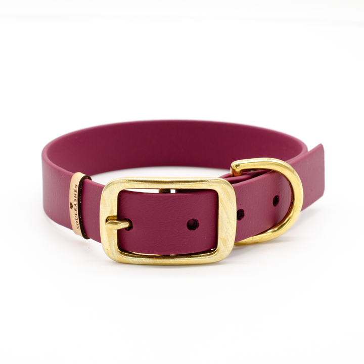 Biothane® Halsband bordeaux – Souleashes