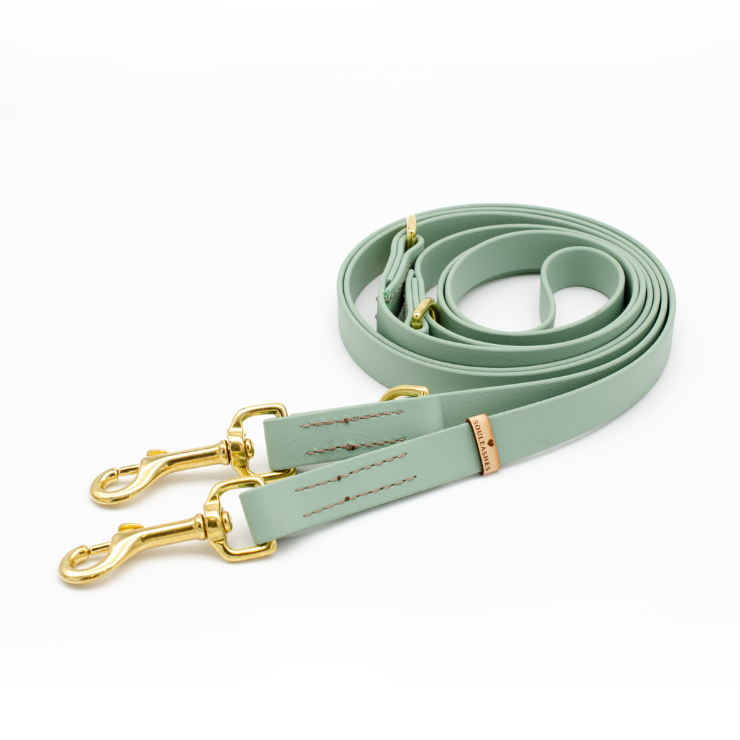 Biothane® Leine mint – Souleashes