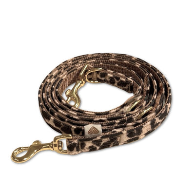 Softshellleine Leo Souleashes X Planet Animal