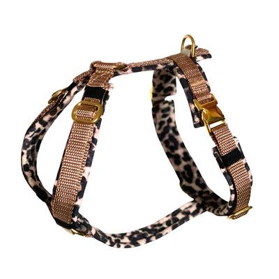 Softshellgeschirr Leo Souleashes X Planet Animal